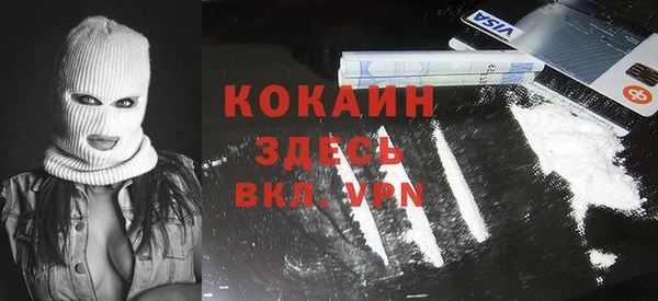 соль ск Алзамай