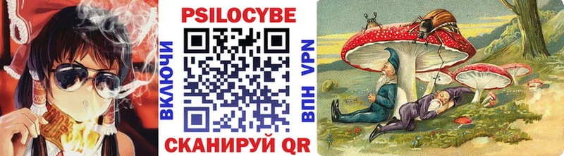 Галлюциногенные грибы Psilocybine cubensis  где продают наркотики  Трёхгорный 
